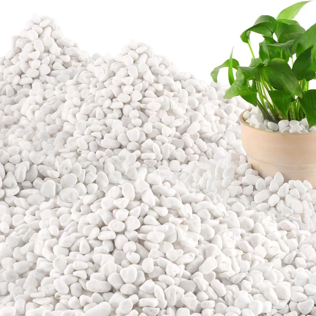 Main image of 45 Lb Natural White River Rocks, 1/4"-3/4" Decorative Pebbles & Aquarium Gravel for Indoor Plants, Landscaping, Terrariums, Fish Tanks & Outdoor Decor