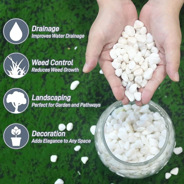 Alt view image 2 of 7 - 45 Lb Natural White River Rocks, 1/4"-3/4" Decorative Pebbles & Aquarium Gravel for Indoor Plants, Landscaping, Terrariums, Fish Tanks & Outdoor Decor