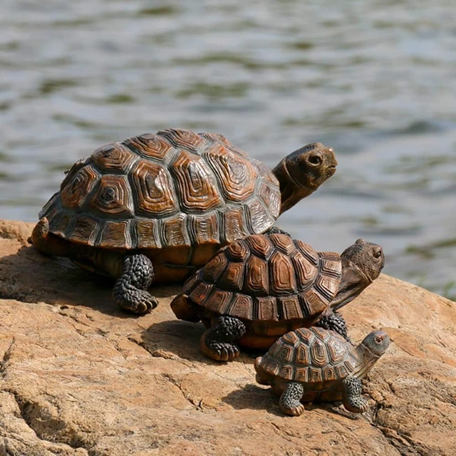 Alt view image 6 of 6 - Polyresin Tortoise Statue, 12 9/10" x 9 2/5" x 5 1/2" 1 Pc