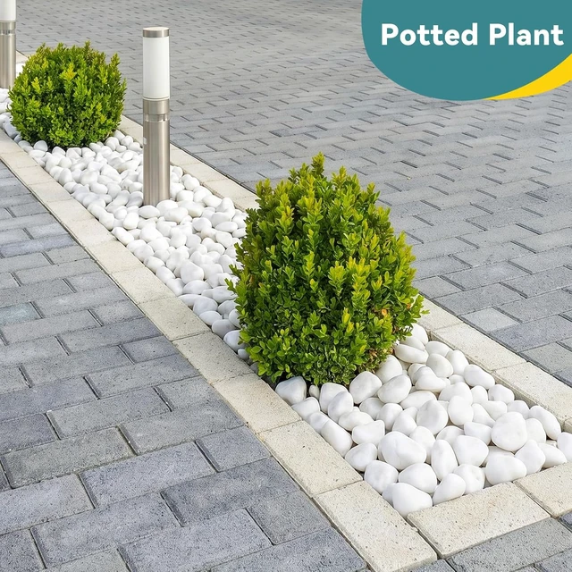Alt view image 3 of 7 - 20 Lbs White Landscaping Rocks 2-3 Inch River Rocks for Plants