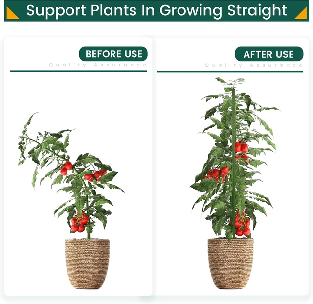 Alt view image 3 of 6 - 25 Pcs 48 Inch Plant Support Garden Stakes for Outdoor Plants
