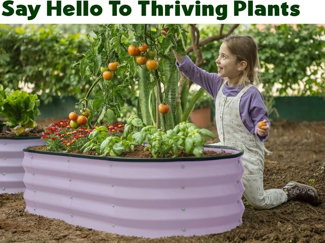 Alt view image 3 of 6 - 2 Pack, 4×2×1 Ft Galvanized Raised Garden Beds Large Outdoor Metal Planter Box for Vegetables, Flowers & Gardening (Lavender)