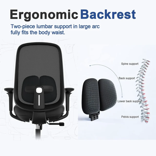 Alt view image 4 of 7 - Ergonomic Office Chair with 3D Armrests & Expanded Lumbar Support