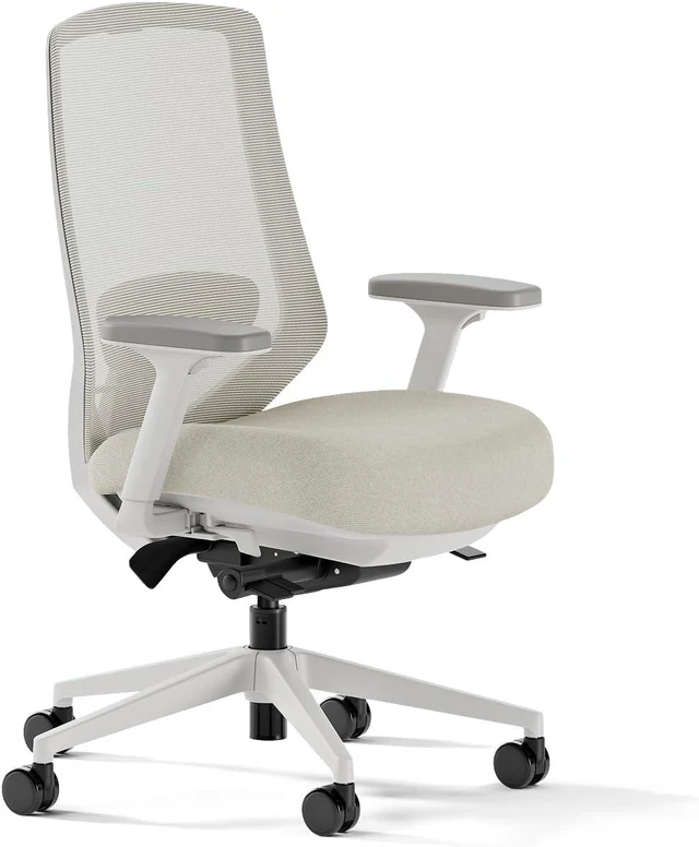 Main image of Mesh Ergonomic Chair Pro Office Chair with 14 Points of Adjustment