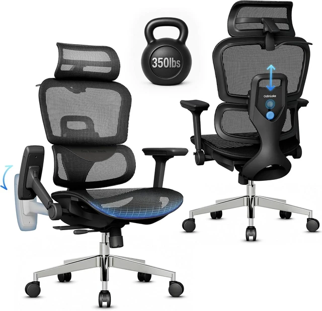 Main image of OdinLake L3 Ergonomic Mesh Office Chair with Dynamic Lumbar & 90° Flip-Back Arms