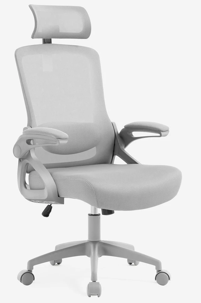 Main image of Mesh Office Computer Chair with Adjustable Lumbar Support