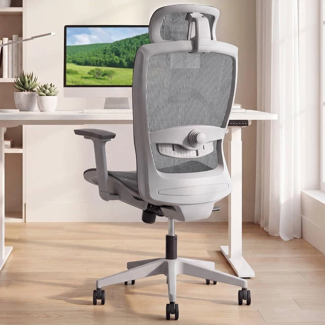 Main image of Comfy Ergonomic Office Chair, Desk Chair with Lumbar Support