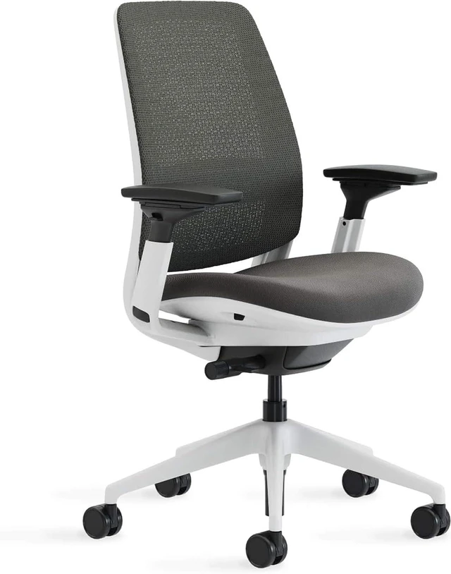 Main image of Series 2 Ergonomic Office Chair for Carpet Floors, Graphite