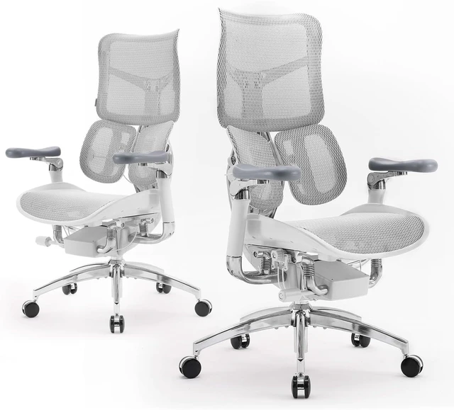 Main image of Doro S300 Ergonomic Office Chair with Full-Body Coordinated Support