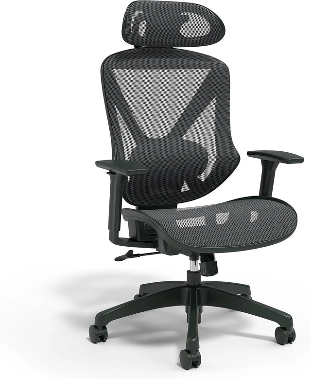 Main image of Dexley Ergonomic Mesh Task Chair with Adjustable Lumbar Support, Black