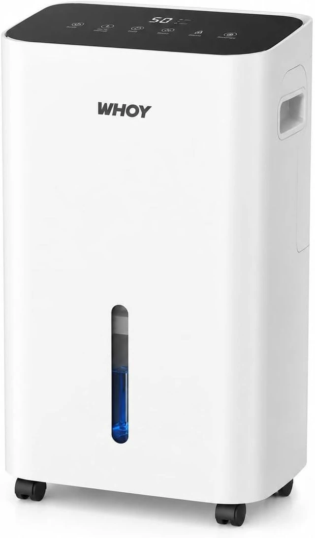 Main image of Basement Dehumidifier