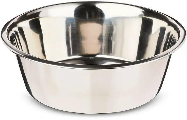 Main image of Vibrant Life Extra Large 38-Cup Stainless Steel Pet Bowl, Silver