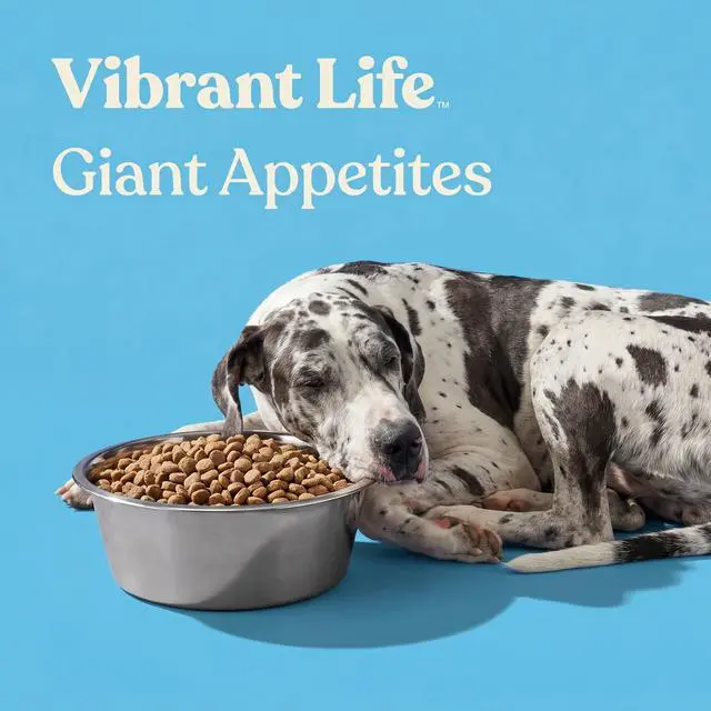 Alt view image 5 of 7 - Vibrant Life Extra Large 38-Cup Stainless Steel Pet Bowl, Silver
