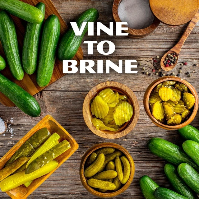 Alt view image 4 of 5 - Mt. Olive Fresh Pack Whole Kosher Dills Pickles, 128 fl oz jar