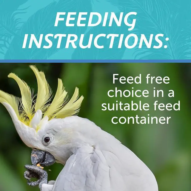 Alt view image 7 of 7 - (2 pack) Pennington Large Bird Everyday Blend Bird Food for Parrots, Cockatoos; 3 lb. Bag