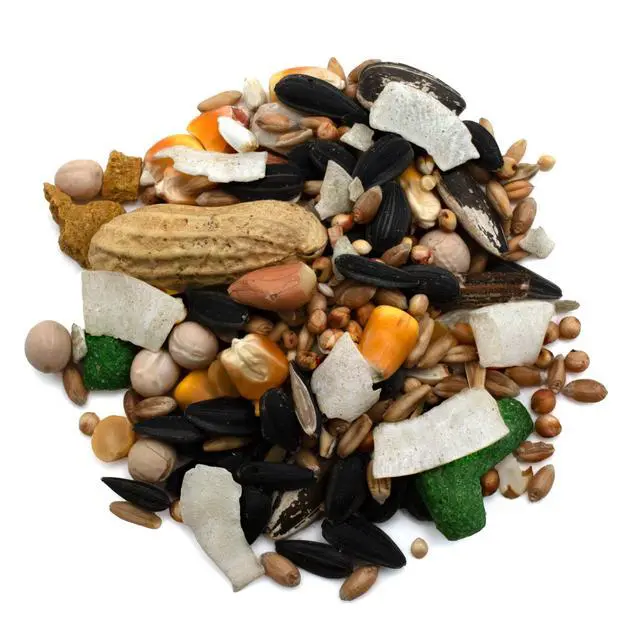 Alt view image 3 of 7 - (2 pack) Pennington Large Bird Everyday Blend Bird Food for Parrots, Cockatoos; 3 lb. Bag