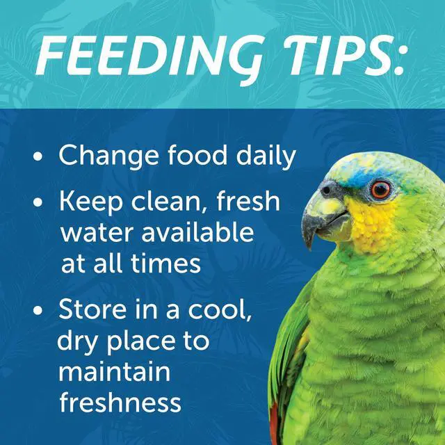 Alt view image 5 of 7 - (2 pack) Pennington Large Bird Everyday Blend Bird Food for Parrots, Cockatoos; 3 lb. Bag