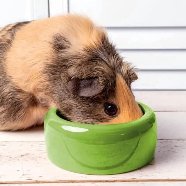 Alt view image 5 of 5 - Vitakraft Menu Premium Guinea Pig Food 4Lb