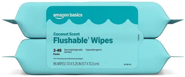 Main image of Basics Flushable Wipes, Coconut Scent, Hypoallergenic, Dermatologically Tested, 2 Packs of 48 (96 Count)