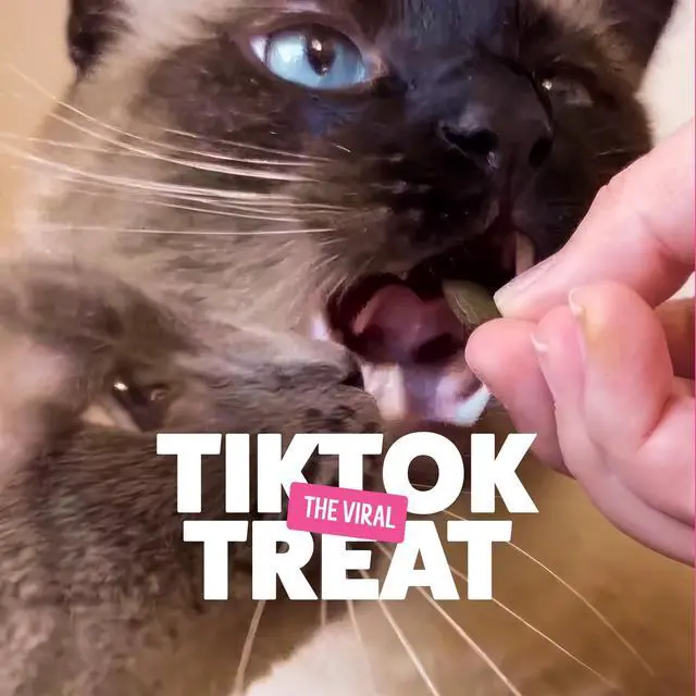Alt view image 5 of 5 - BONKERS Bites Crunchy & Soft Cat Treats, Catnip & Chick 'N' Cheddar Flavor, 16oz Tub
