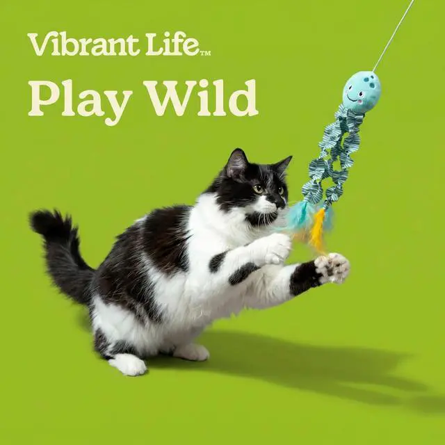 Alt view image 4 of 6 - Vibrant Life Jellyfish Teaser Cat Toy with Catnip, 18" (2 Pack)