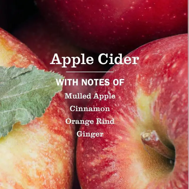 Alt view image 6 of 6 - MRS. MEYER'S CLEAN DAY Apple Cider Multi-Surface Cleaner, 16 fl oz