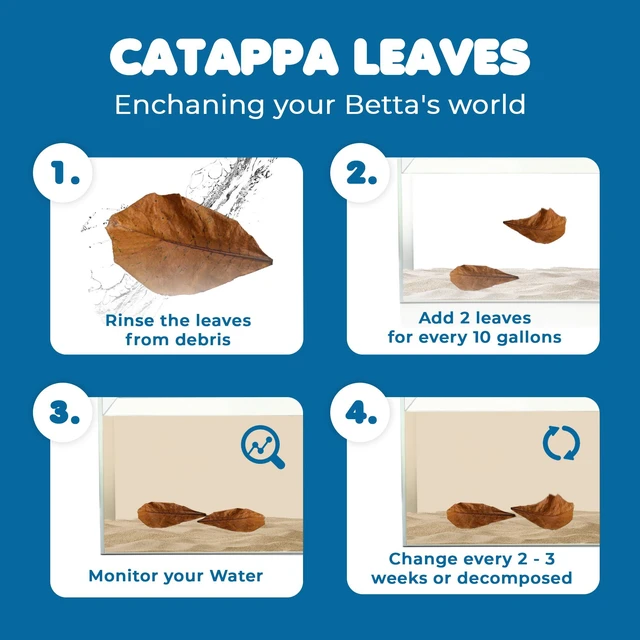 Alt view image 3 of 7 - SunGrow Betta Leaves Indian Almond Leaves for Overall Development