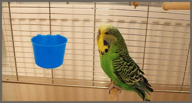 Alt view image 4 of 5 - 10 Pack 8oz Hanging Wire Cage Cups Bird Feeders Seed Bowl Chicken Feeding Watering Dish Rabbit Water Food for Pet Parrot Parakeet Gamefowl Poultry Pigeon