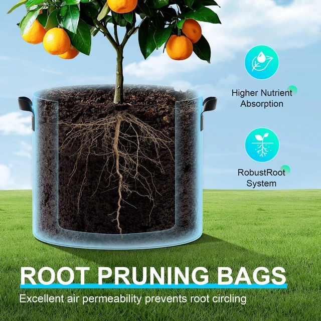 Alt view image 5 of 7 - Land Guard 4-Pack 5 Gallon Fabric Grow Bags, Thickened Nonwoven with Handles, Black