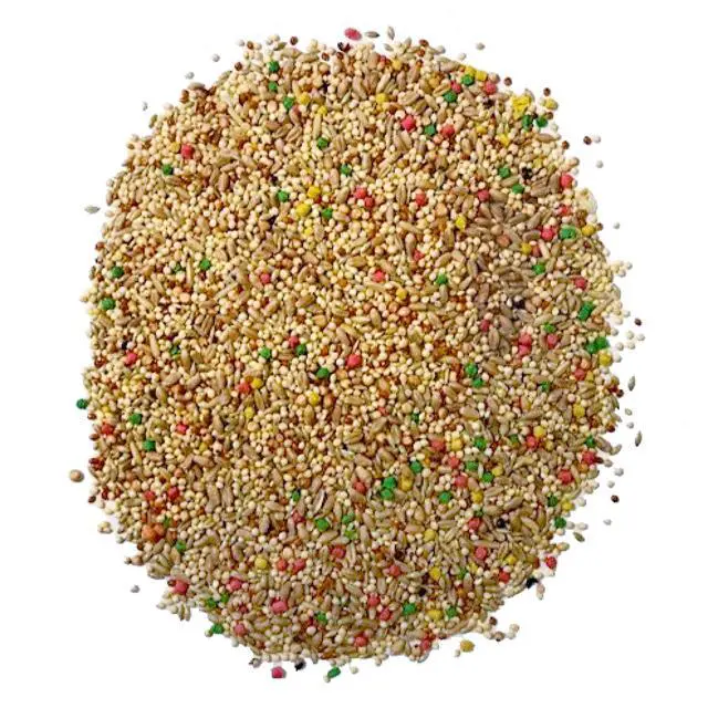 Alt view image 5 of 7 - Pennington Small Breed Everyday Blend Dry Bird Food, for Parakeets, Canaries and Finches; 3 lb. Bag