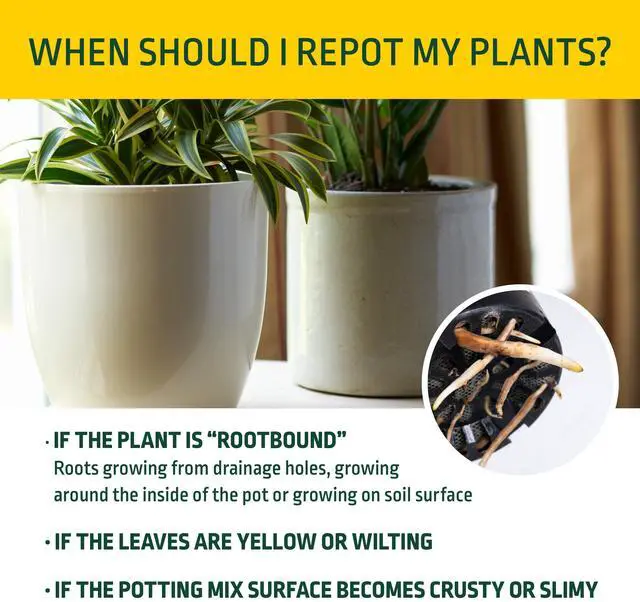 Alt view image 6 of 6 - Expert Gardener Potting Mix for Potted Plants, 1 Cu. Ft., Indoor and Outdoor Soil