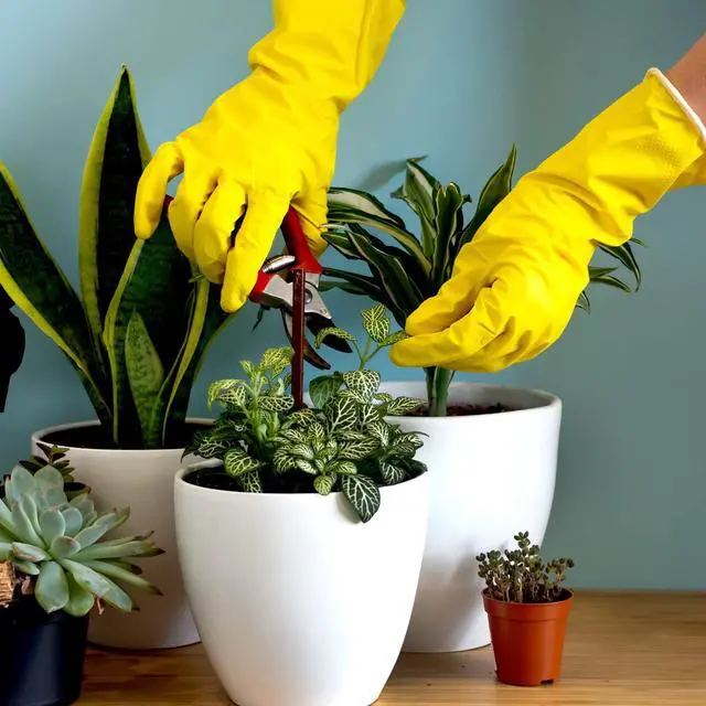 Alt view image 3 of 6 - Rubber Kitchen Dishwashing Gloves - 4 Pairs Colorful Reusable Household Cleaning Gloves for Dishwashing and Cleaning Tasks, Flexible Long-Lasting and Non-Slip (Medium, Bl