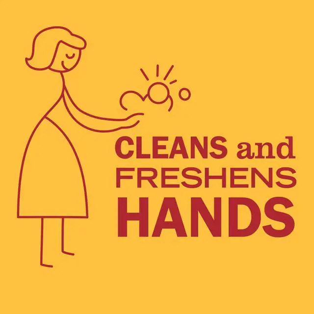 Alt view image 5 of 6 - MRS. MEYER'S CLEAN DAY Hand Soap, Clementine Scent, 12.5 Fl Oz (Pack of 2)
