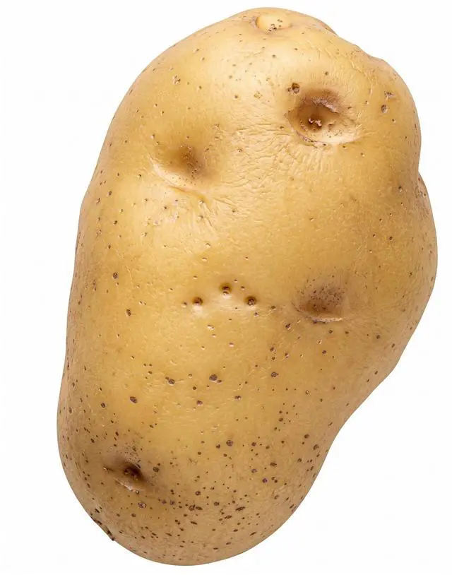 Main image of Potato Stress Reliever Squeeze Toy Stress Ball Funny Gift