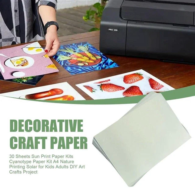 Alt view image 3 of 3 - AJMRTC A4 Cyanotype Paper Kit, Solar Nature Printing Sun Print Paper, DIY Art Craft Project Set, Cyanotype Sheets for Kids Adults Botanical Photography & Creative Handmade