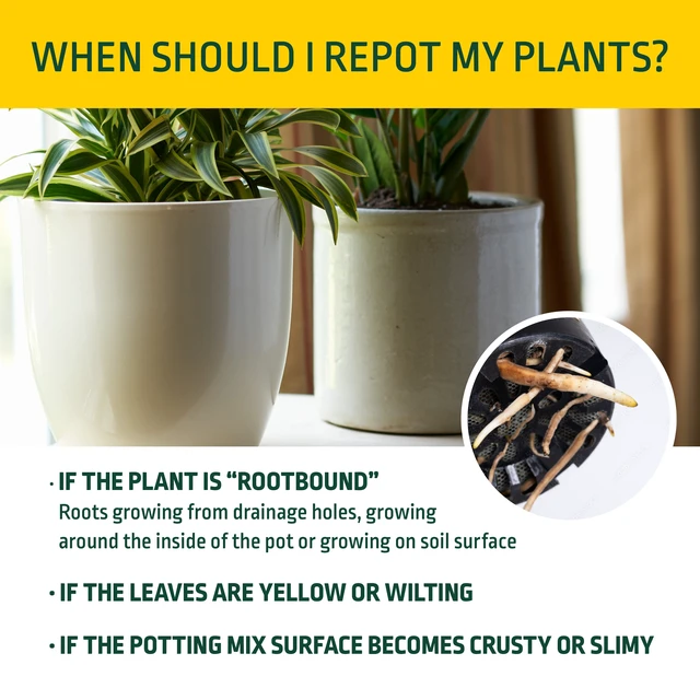 Alt view image 5 of 5 - Expert Gardener Potting Mix, 1cu ft, for Potted Plants, Indoor and Outdoor Soil