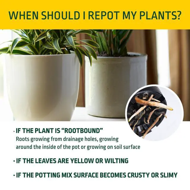 Alt view image 6 of 6 - Expert Gardener Potting Mix for Potted Plants, 1 Cu. Ft., Indoor and Outdoor Soil