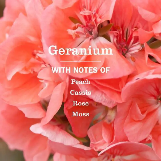 Alt view image 4 of 6 - Mrs. Meyer's Clean Day Room Spray, Geranium Scent, 8 fl oz