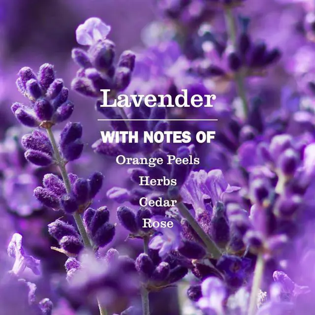Alt view image 2 of 6 - Mrs. Meyer's Clean Day Room Spray, Lavender, 8 Fl Oz