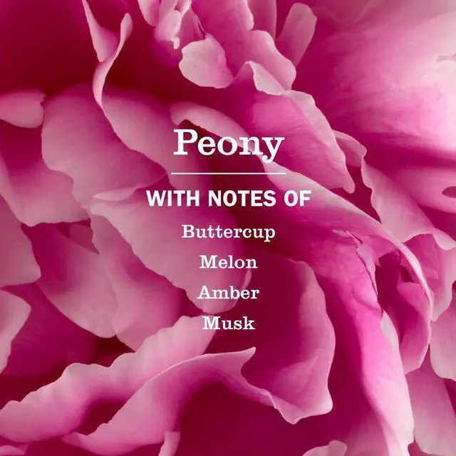 Alt view image 3 of 7 - Mrs. Meyer's Clean Day Hand Soap, Peony Scent, 12.5 Fl Oz