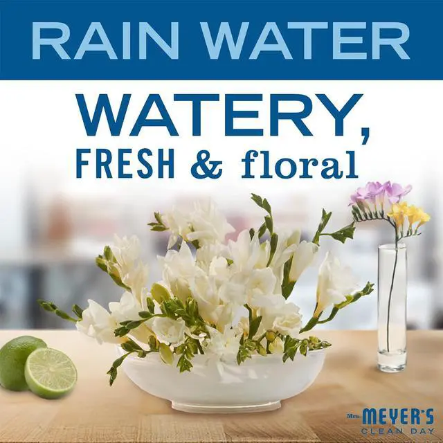 Alt view image 6 of 6 - Mrs. Meyer's Clean Day Foaming Hand Soap, Rainwater Scent, 10 fl oz