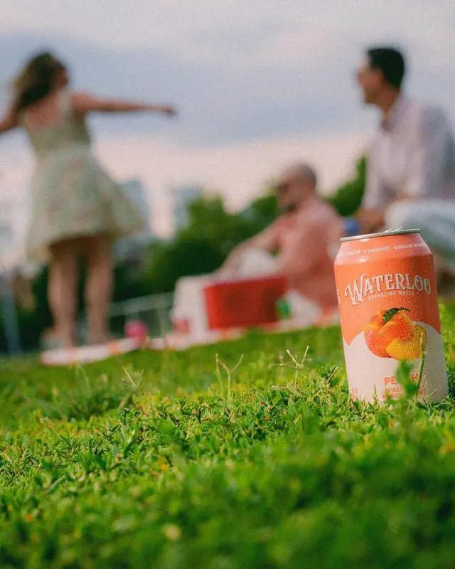 Alt view image 5 of 6 - Waterloo Sparkling Water Peach 12 Fl Oz Cans (Pack of 12)