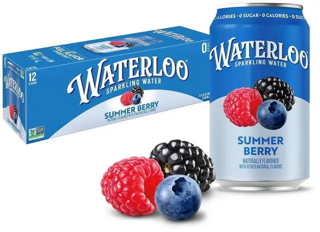Main image of Waterloo Sparkling Water Summer Berry 12 Fl Oz Cans (Pack of 12)
