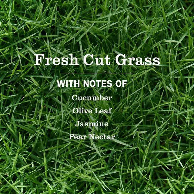 Alt view image 4 of 6 - Mrs. Meyer's Clean Day Liquid Dish Soap, Fresh Cut Grass, 16fl oz