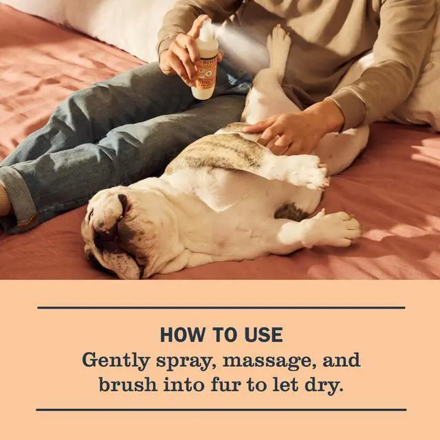 Alt view image 4 of 6 - Mrs. Meyer's Clean Day Dog Deodorizing Spray, 8oz, White Peach Scent
