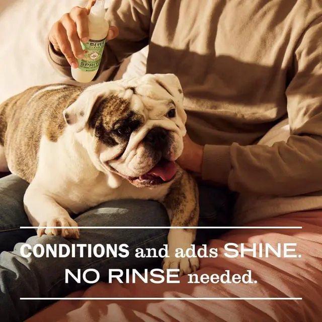 Alt view image 5 of 6 - MRS. MEYER'S Clean Day Dog Deodorizing Spray, Sweet Chamomile Scent, 8oz