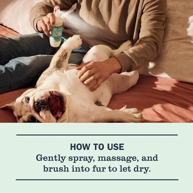 Alt view image 2 of 6 - MRS. MEYER'S Clean Day Dog Deodorizing Spray, Sweet Chamomile Scent, 8oz