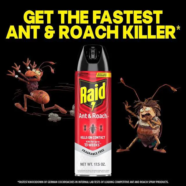 Alt view image 2 of 6 - Raid Ant & Roach Insect Killer, Fragrance Free Bug Spray, Insect Spray, 17.5 oz, 2 Count