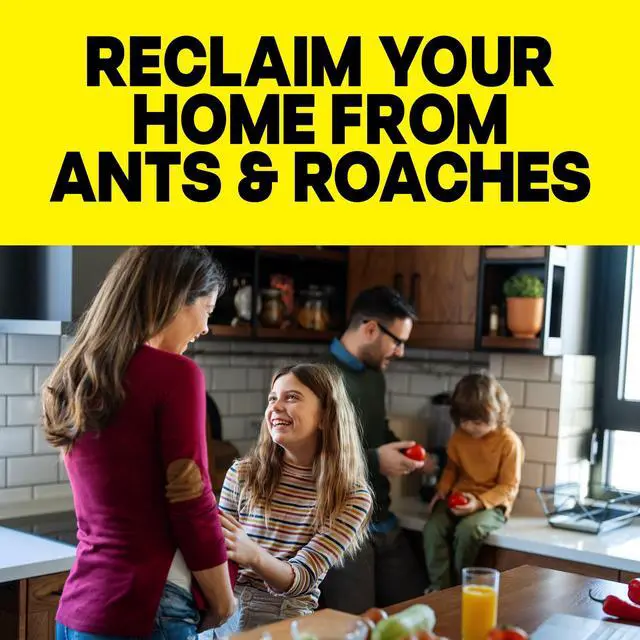Alt view image 6 of 6 - Raid Ant & Roach Insect Killer, Fragrance Free Bug Spray, Insect Spray, 17.5 oz, 2 Count