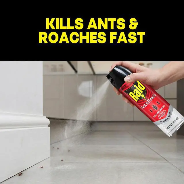 Alt view image 5 of 6 - Raid Ant & Roach Insect Killer, Fragrance Free Bug Spray, Insect Spray, 17.5 oz, 2 Count